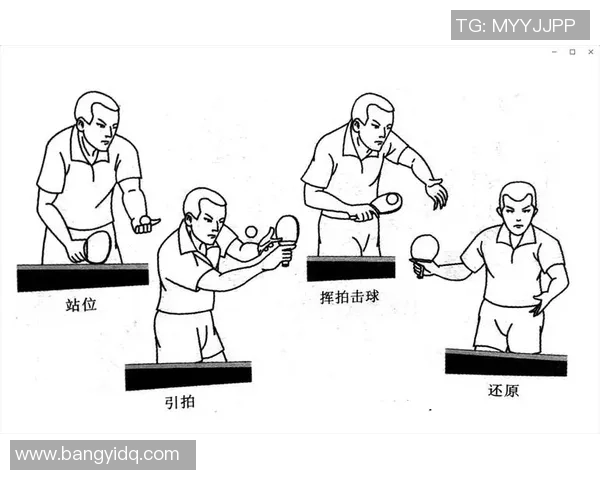 南京乒乓球队精英赛战术解析与表现评估的深度分析