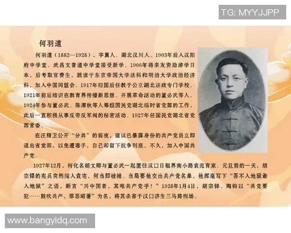 上海排球队的奋斗历程与总决赛背后的成长故事揭秘 上海排球队的奋斗历程与总决赛背后的成长故事揭秘