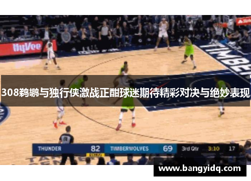 308鹈鹕与独行侠激战正酣球迷期待精彩对决与绝妙表现