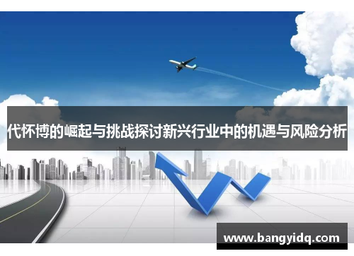 代怀博的崛起与挑战探讨新兴行业中的机遇与风险分析